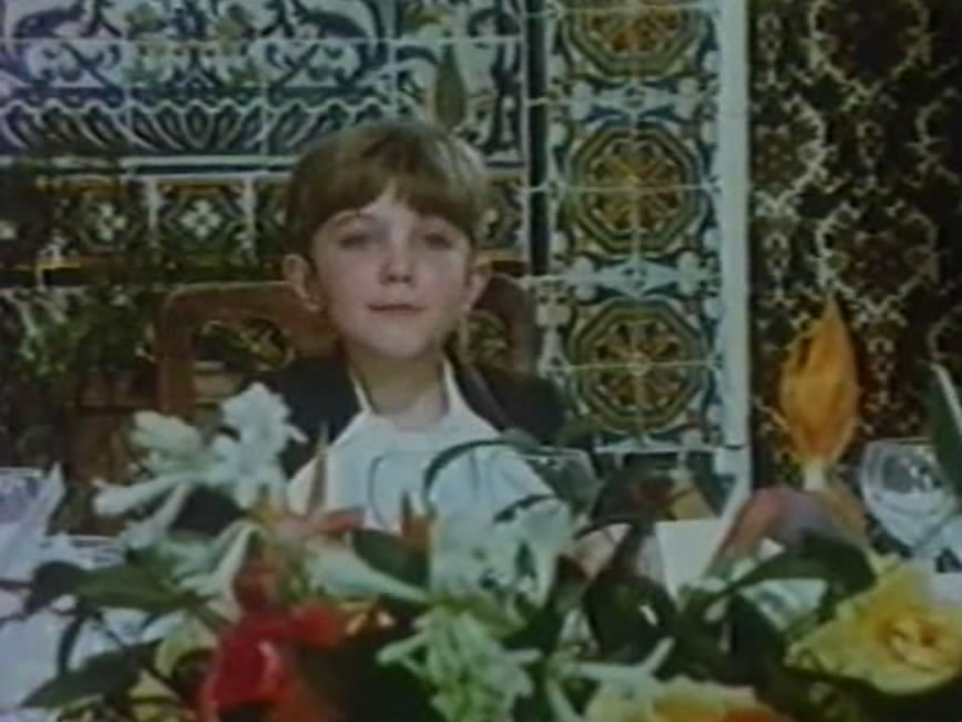 荨麻种子剧照的剧照