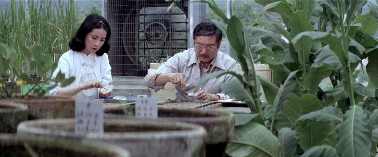 龙的传人剧照的剧照