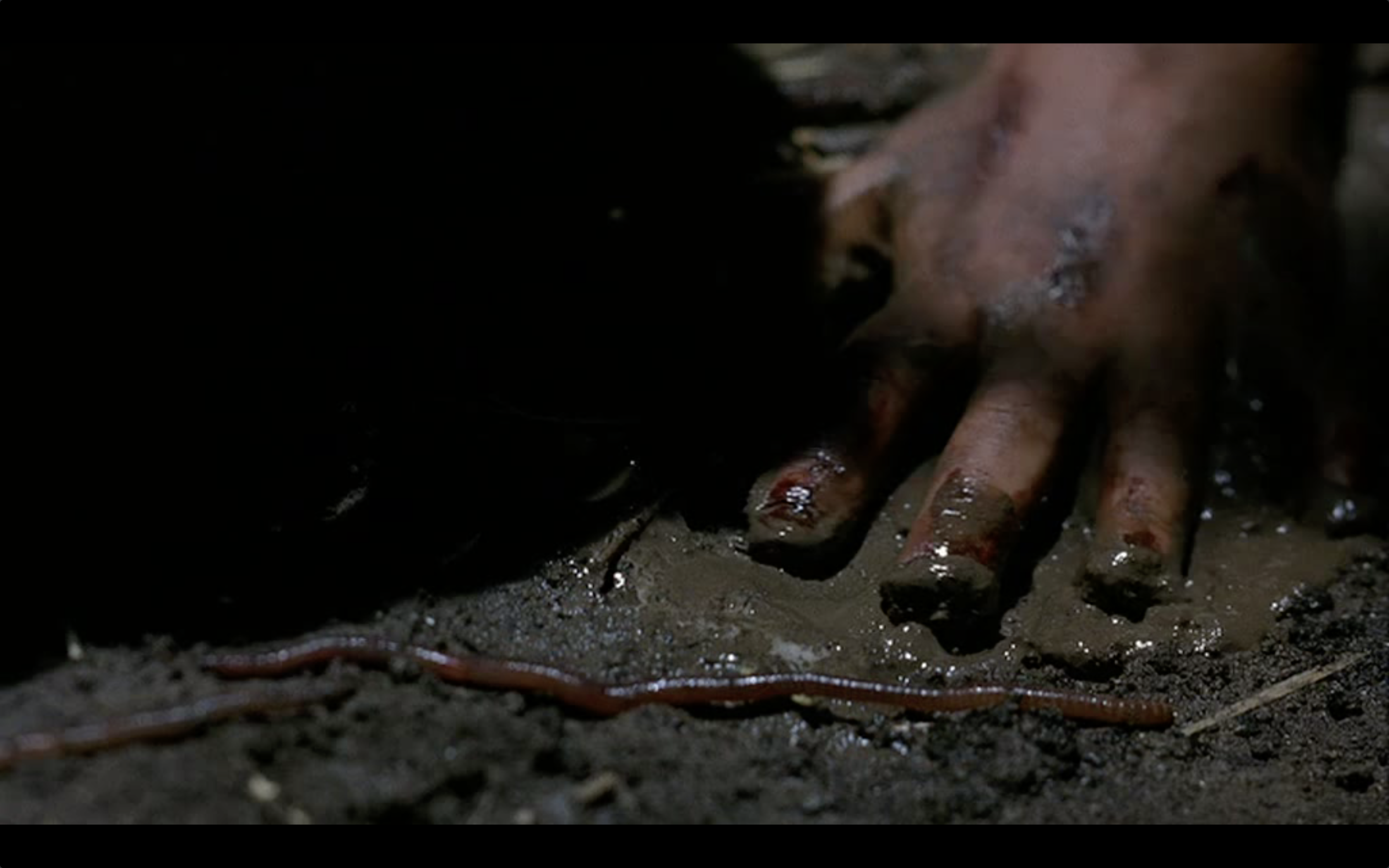 有你我不怕剧照的剧照