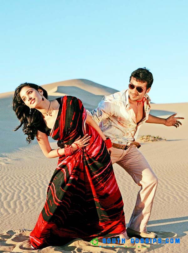 浪子回头金不换剧照的剧照