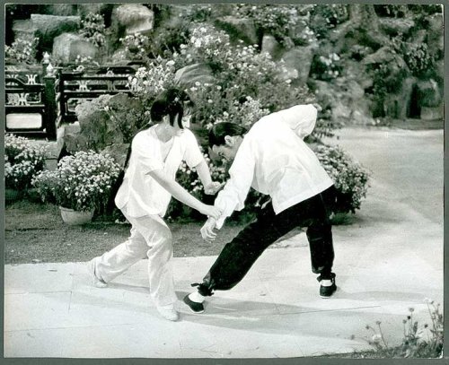 螳螂剧照的剧照