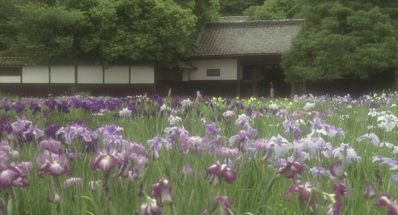 女座头市剧照的剧照