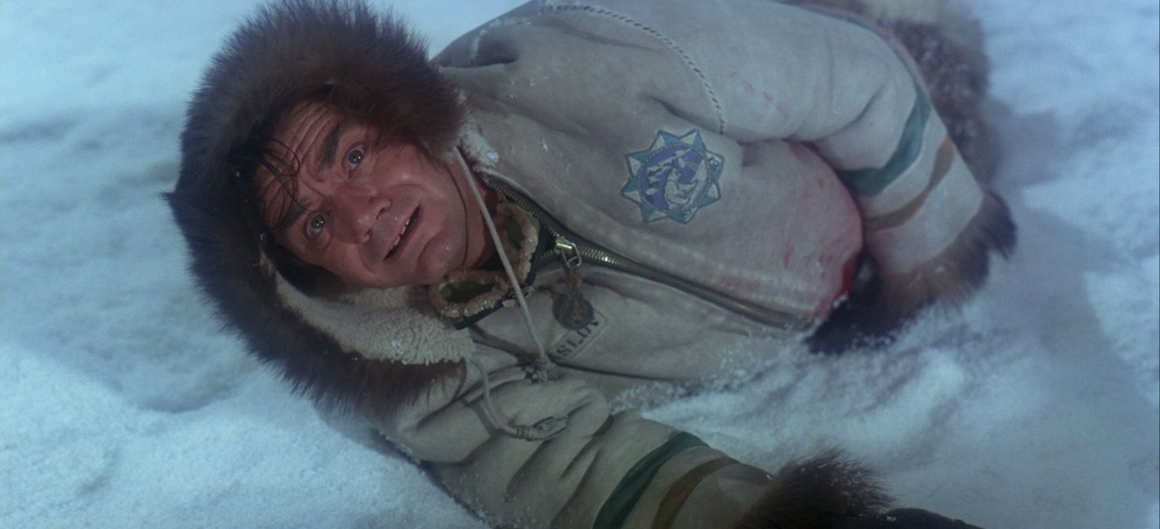 大北极剧照的剧照