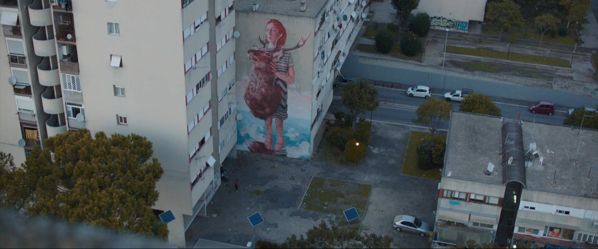 高速路上一只猫剧照的剧照