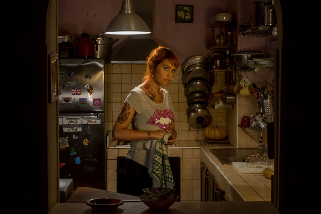 高速路上一只猫剧照的剧照