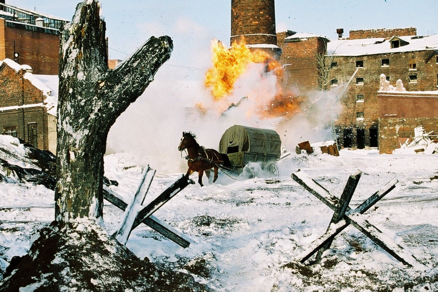 列宁格勒剧照的剧照