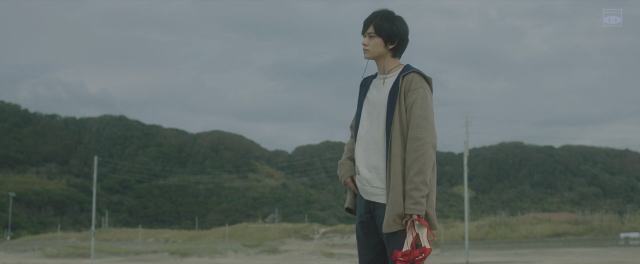 你在月夜里闪耀光辉剧照的剧照