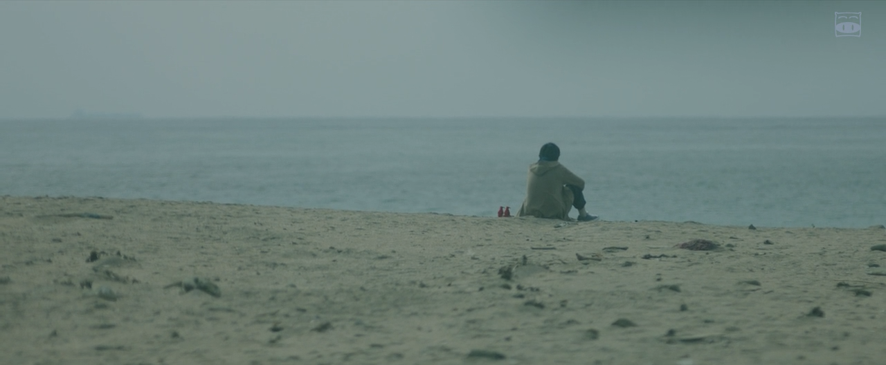 你在月夜里闪耀光辉剧照的剧照