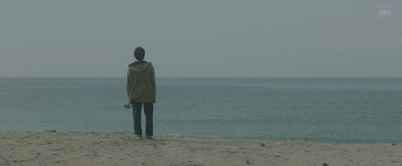 你在月夜里闪耀光辉剧照的剧照