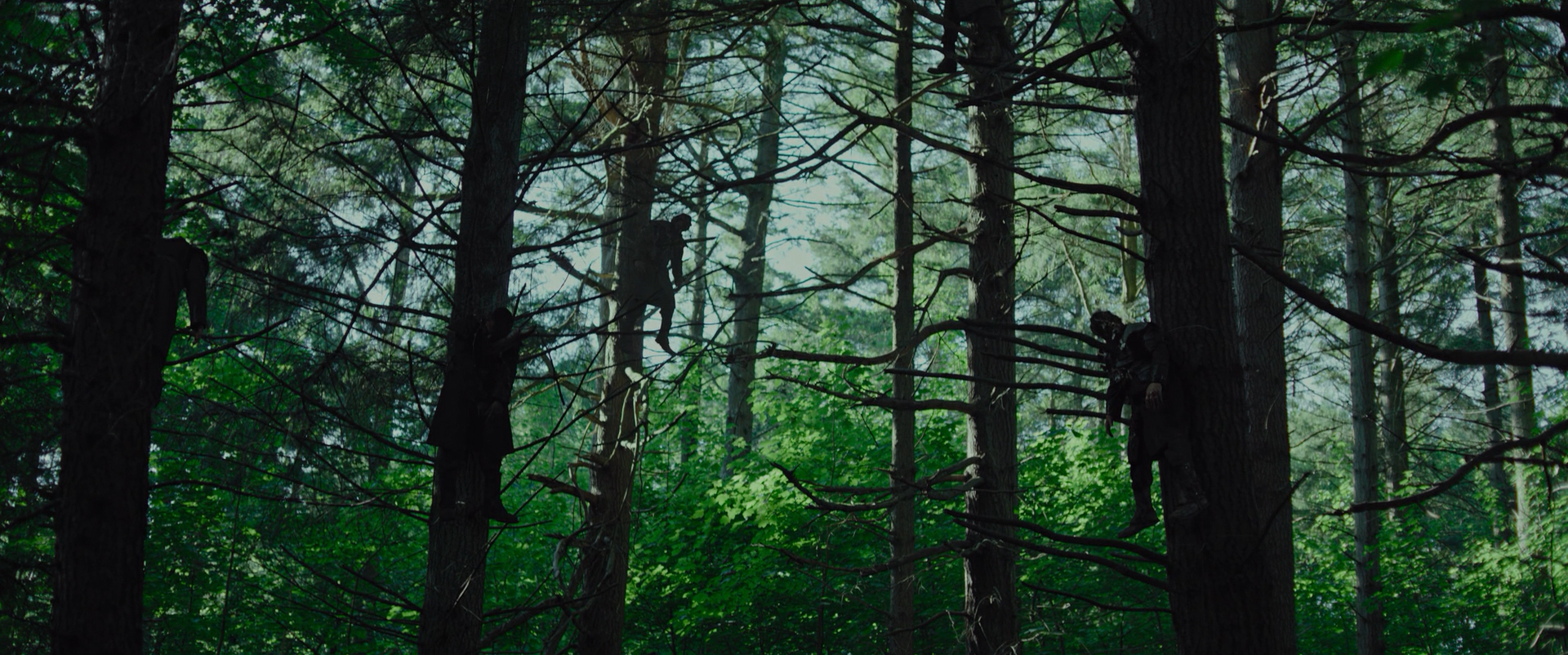 使徒剧照的剧照