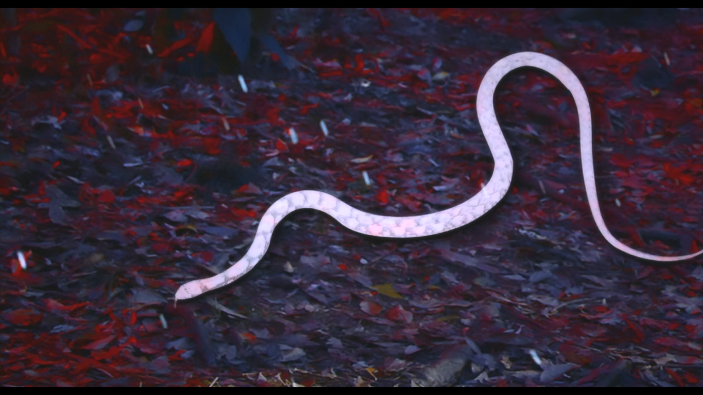 花筐剧照的剧照