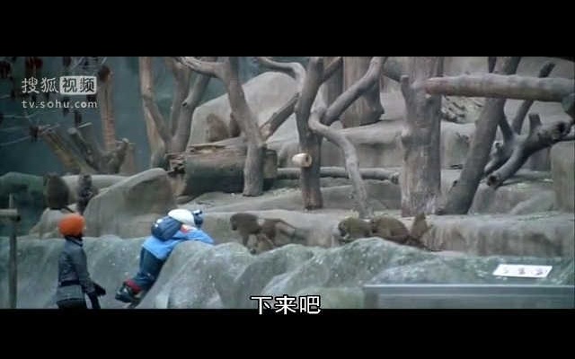 清洁剧照的剧照