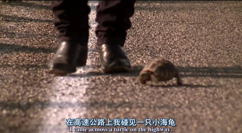 杀手悲歌剧照的剧照