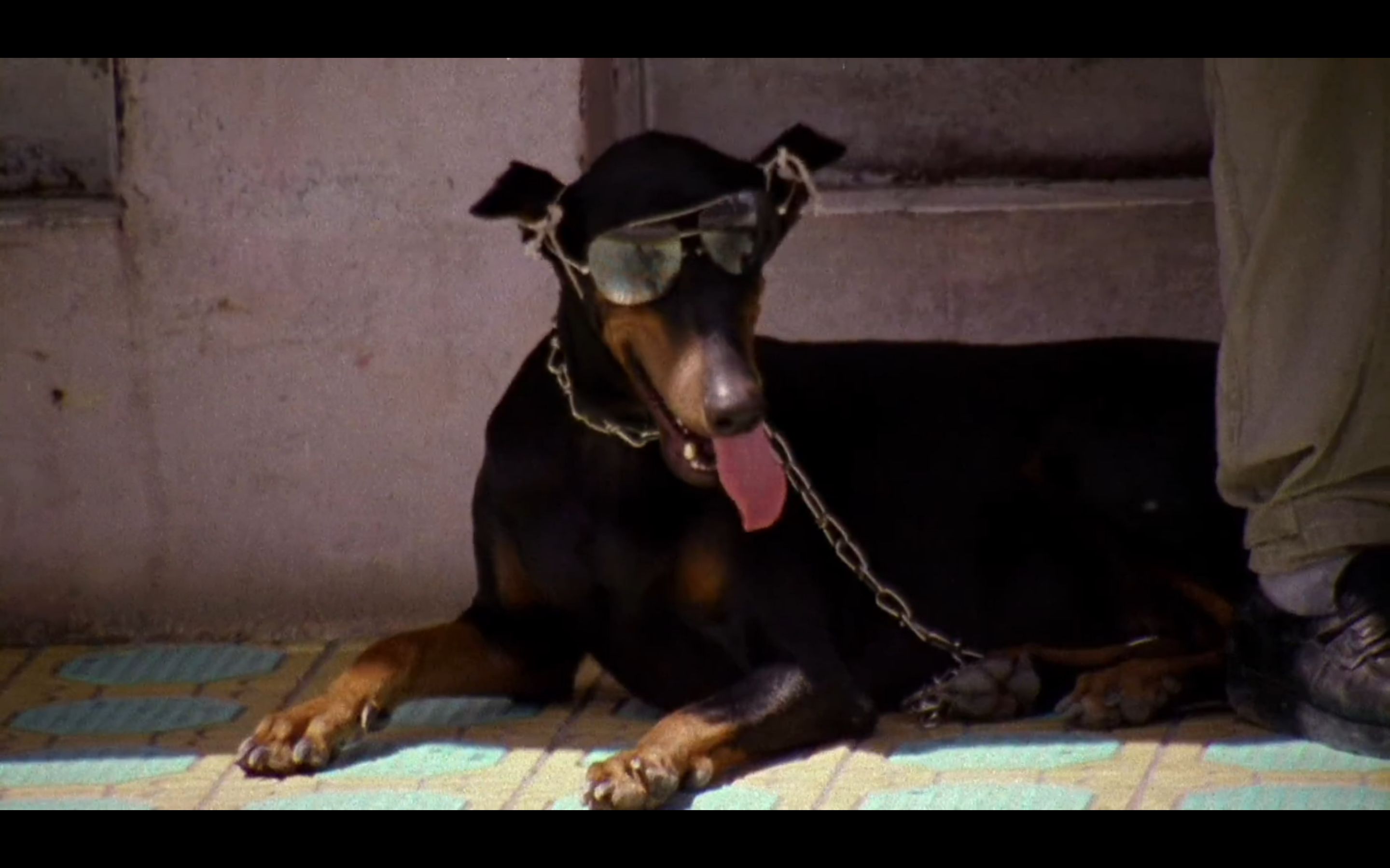 杀手悲歌剧照的剧照