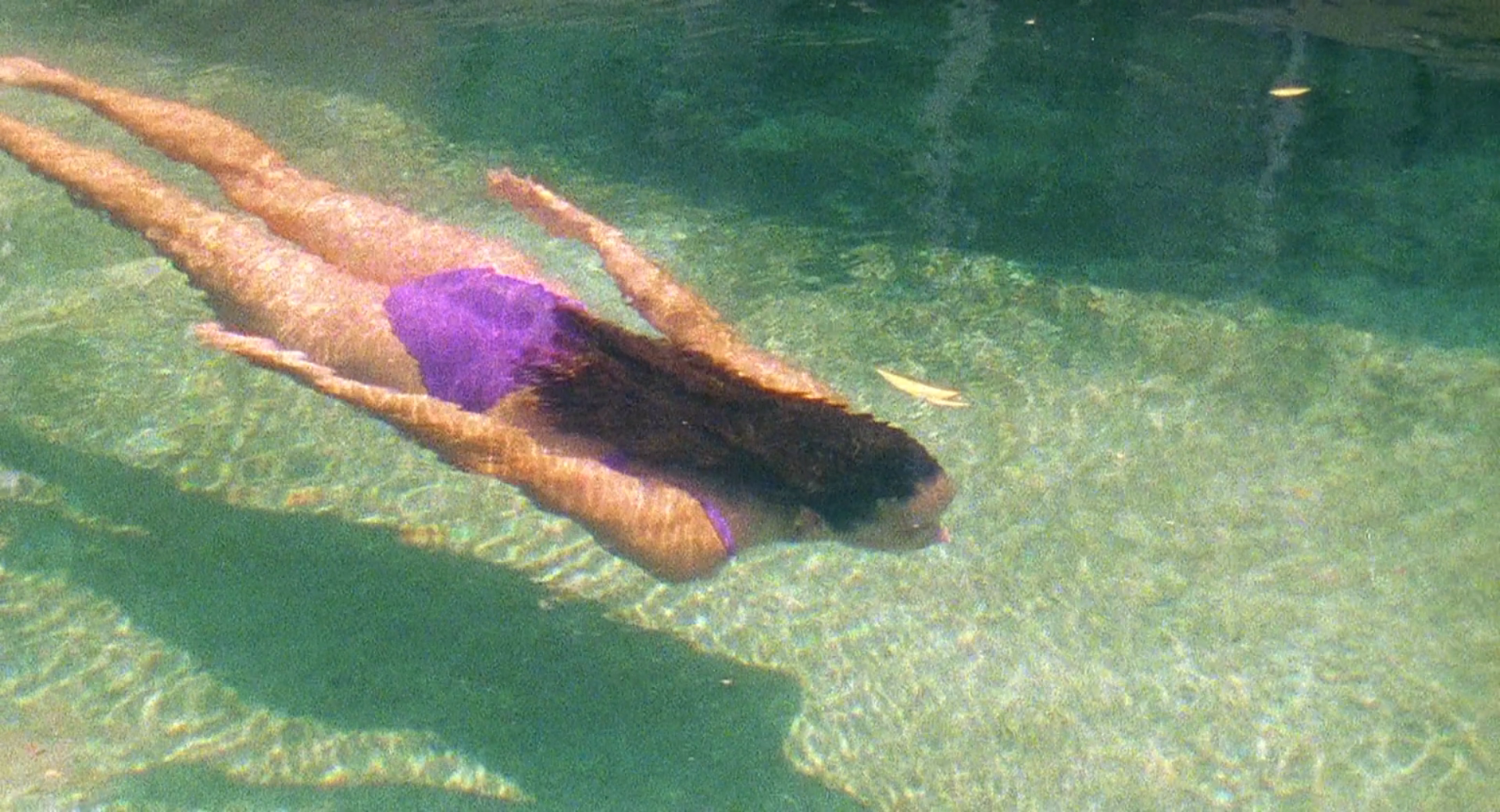 杀手悲歌剧照的剧照