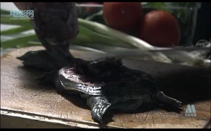 无蝉的夏天剧照的剧照