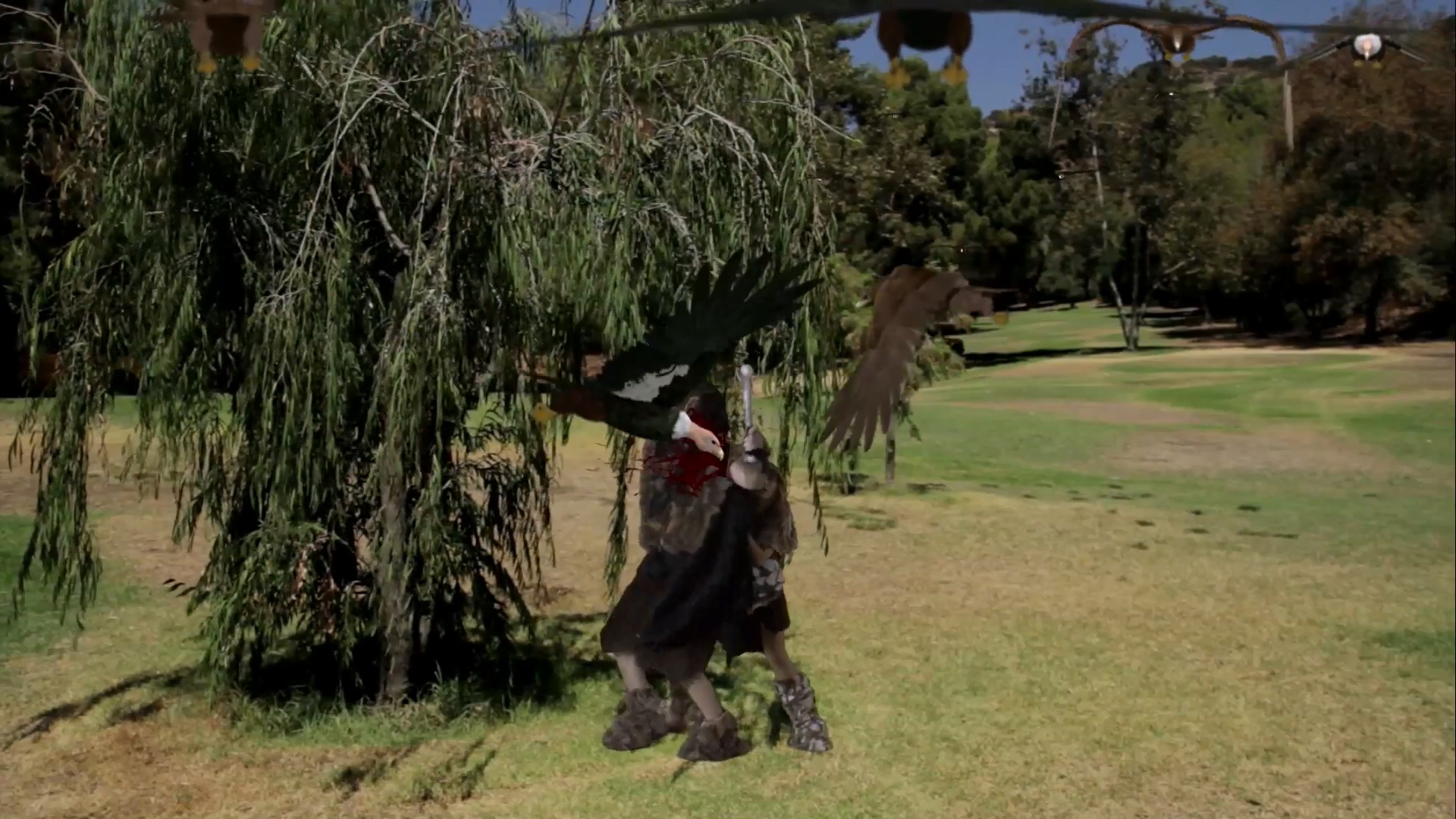 群鸟2：复活剧照的剧照