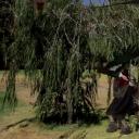 群鸟2：复活剧照