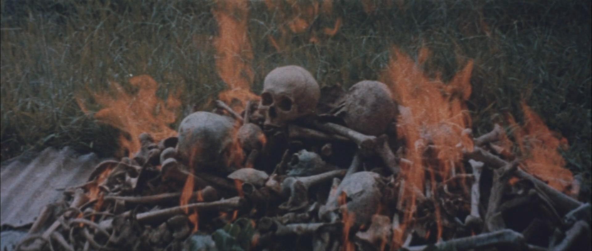 飘舞的军旗下剧照的剧照