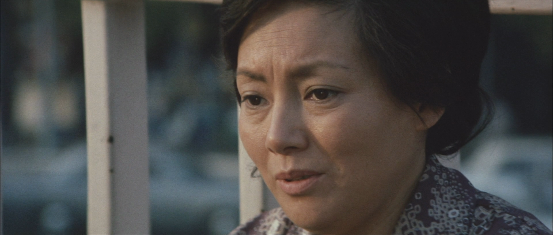 飘舞的军旗下剧照的剧照