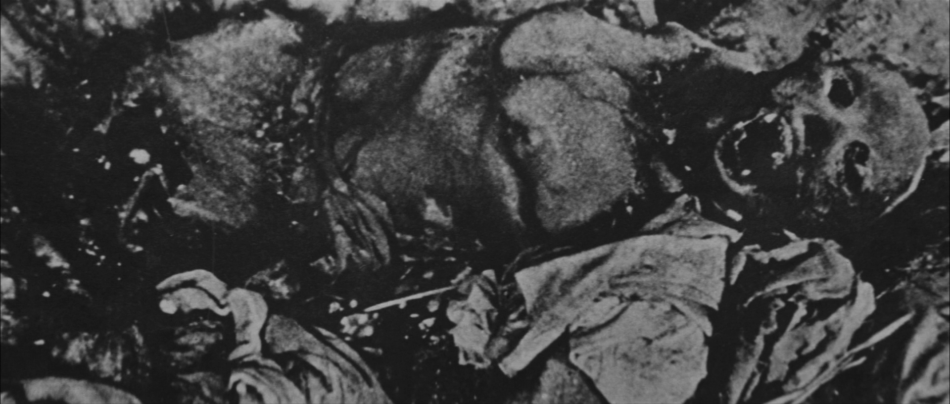 飘舞的军旗下剧照的剧照