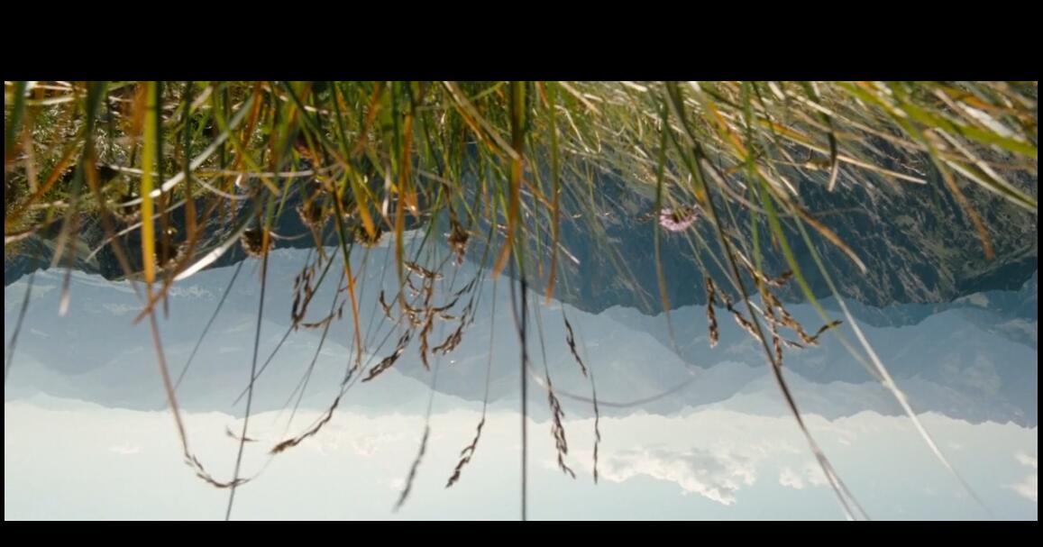 文森特要看海剧照的剧照