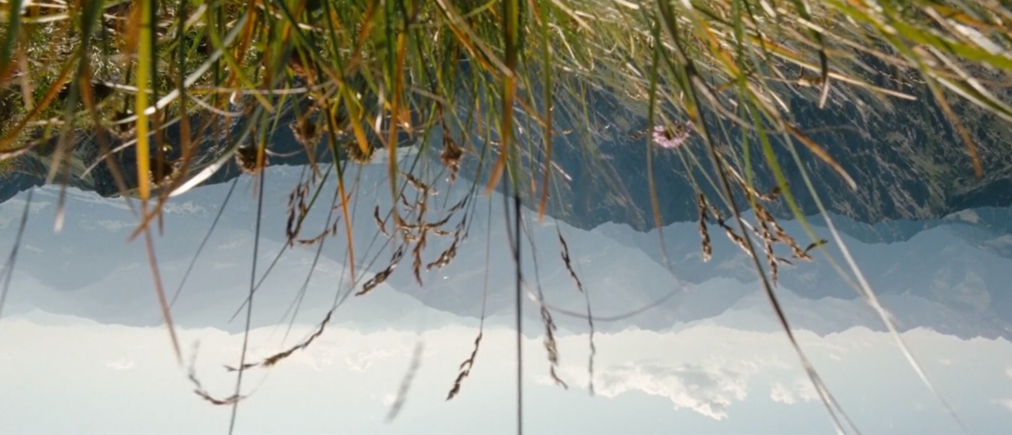 文森特要看海剧照的剧照