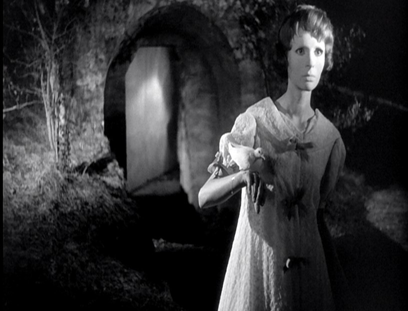 没有面孔的眼睛剧照的剧照