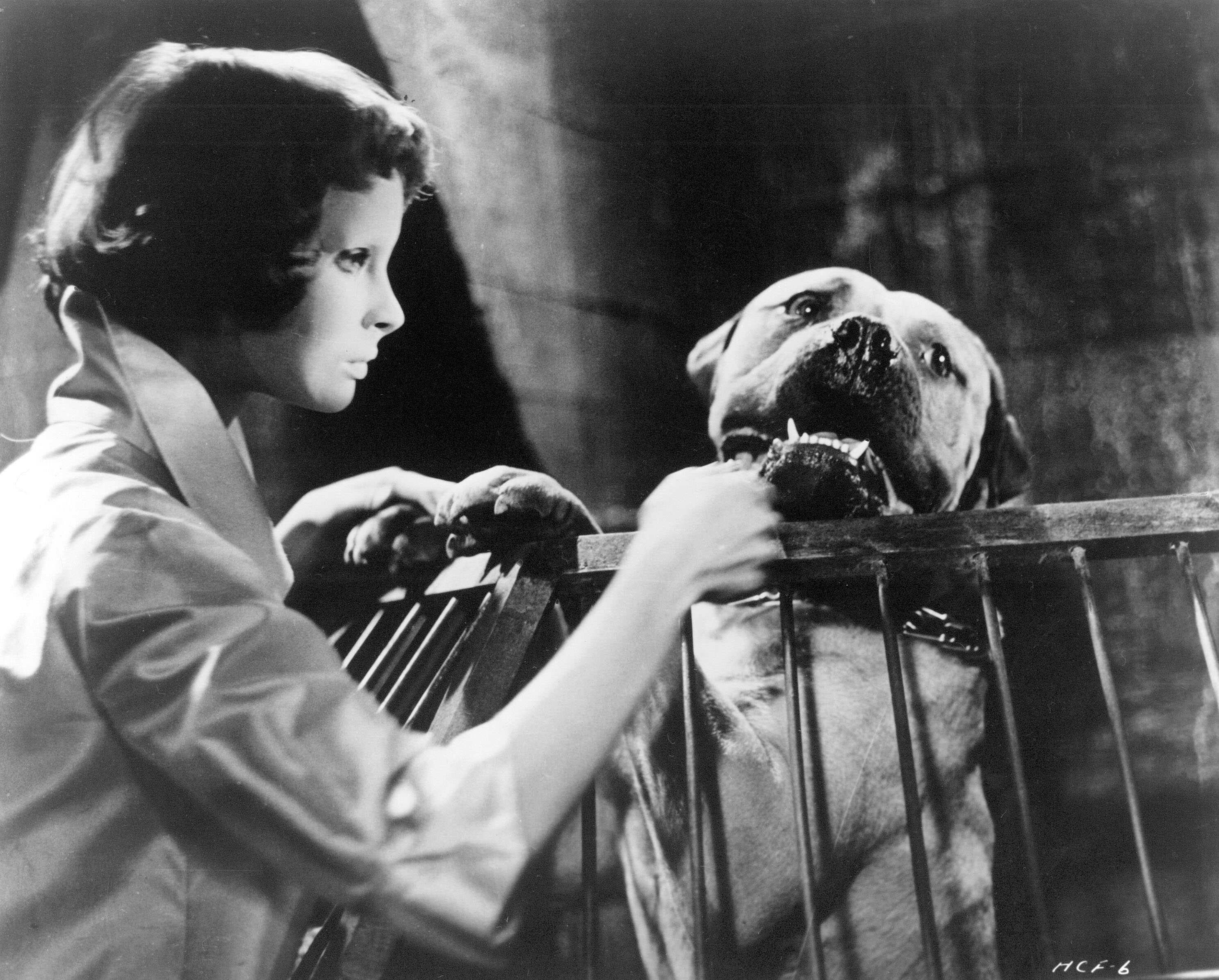 没有面孔的眼睛剧照的剧照