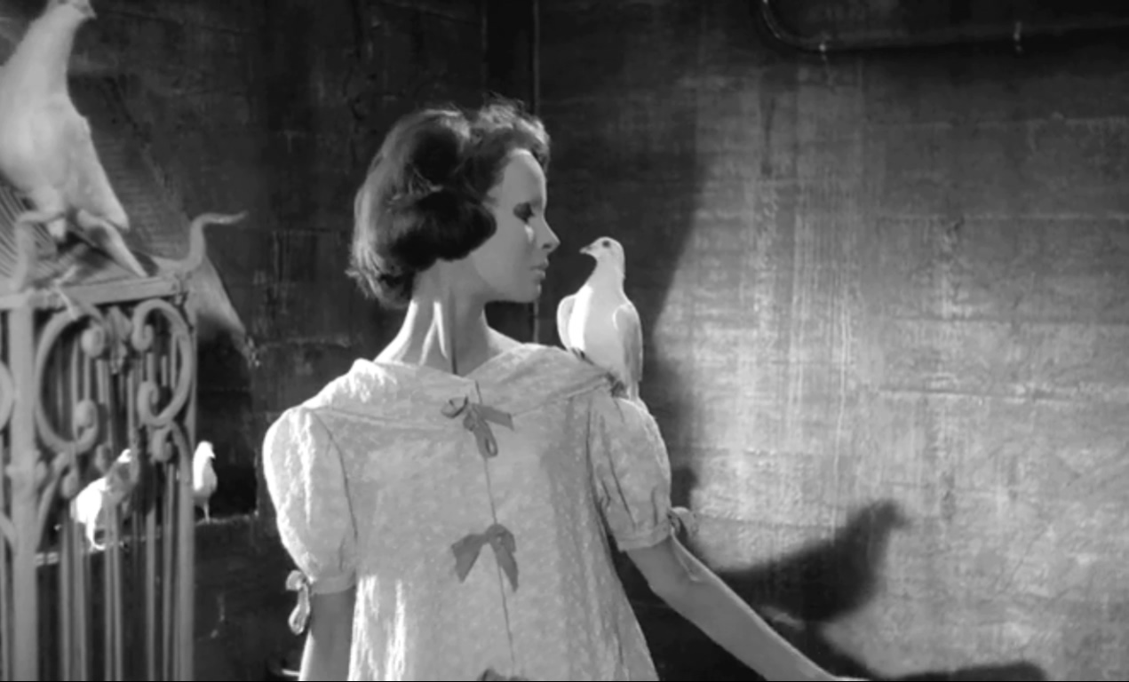 没有面孔的眼睛剧照的剧照