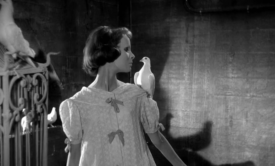 没有面孔的眼睛剧照的剧照