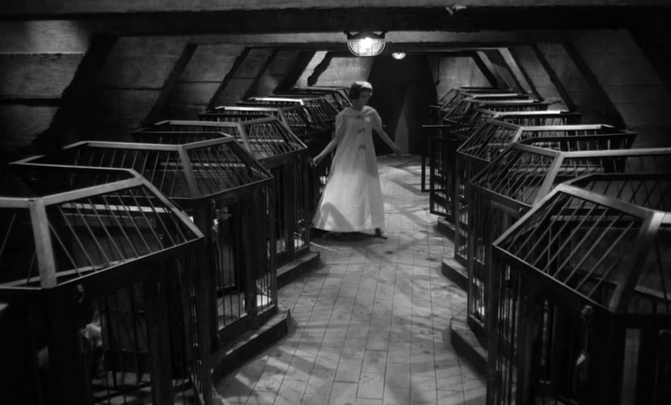 没有面孔的眼睛剧照的剧照