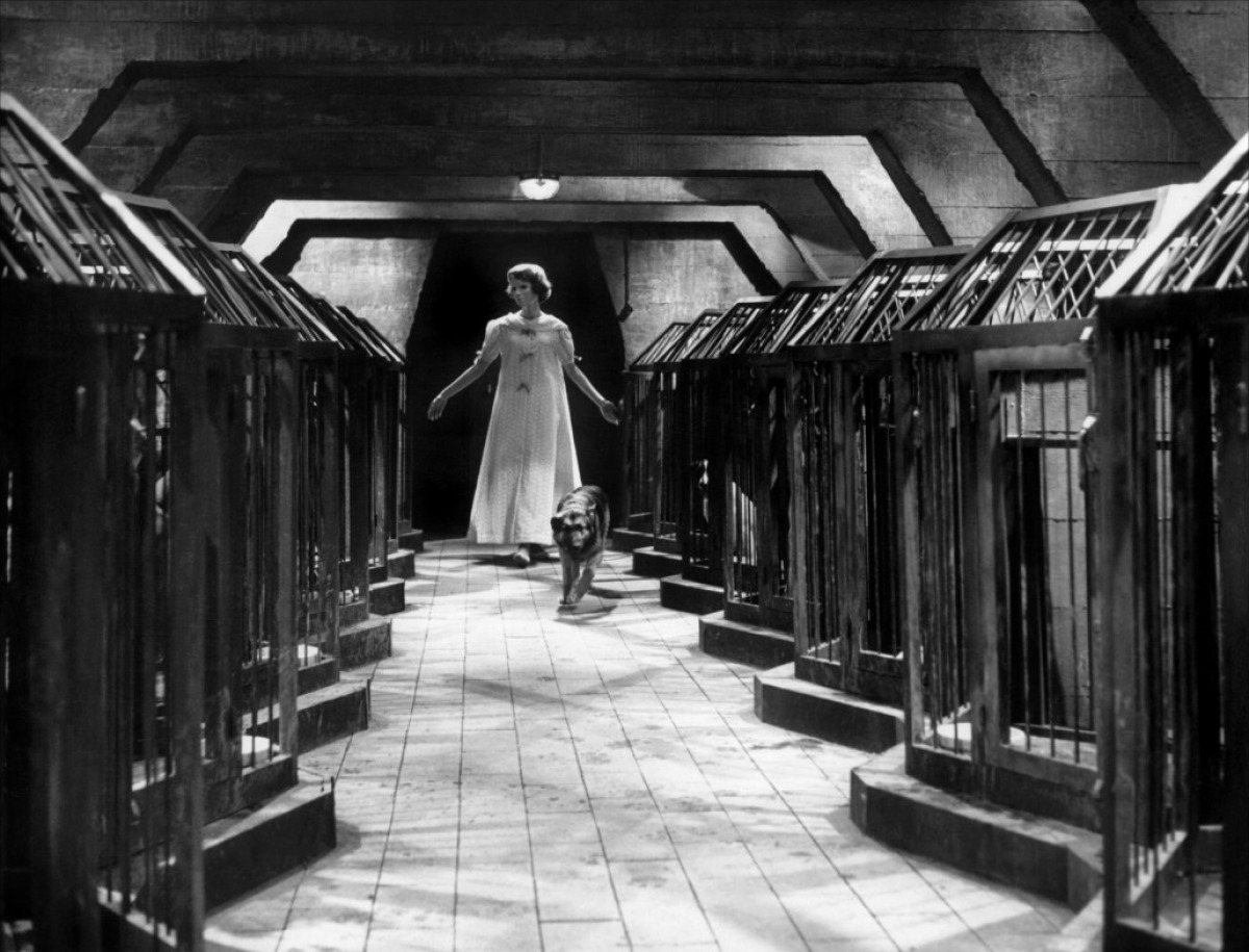 没有面孔的眼睛剧照的剧照