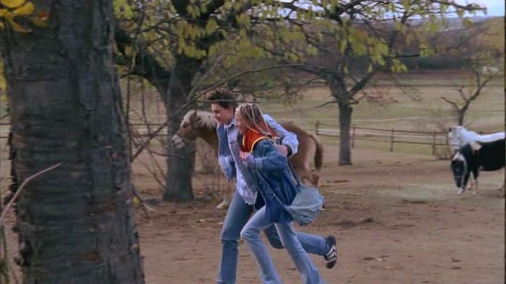 做爱后动物感伤剧照的剧照