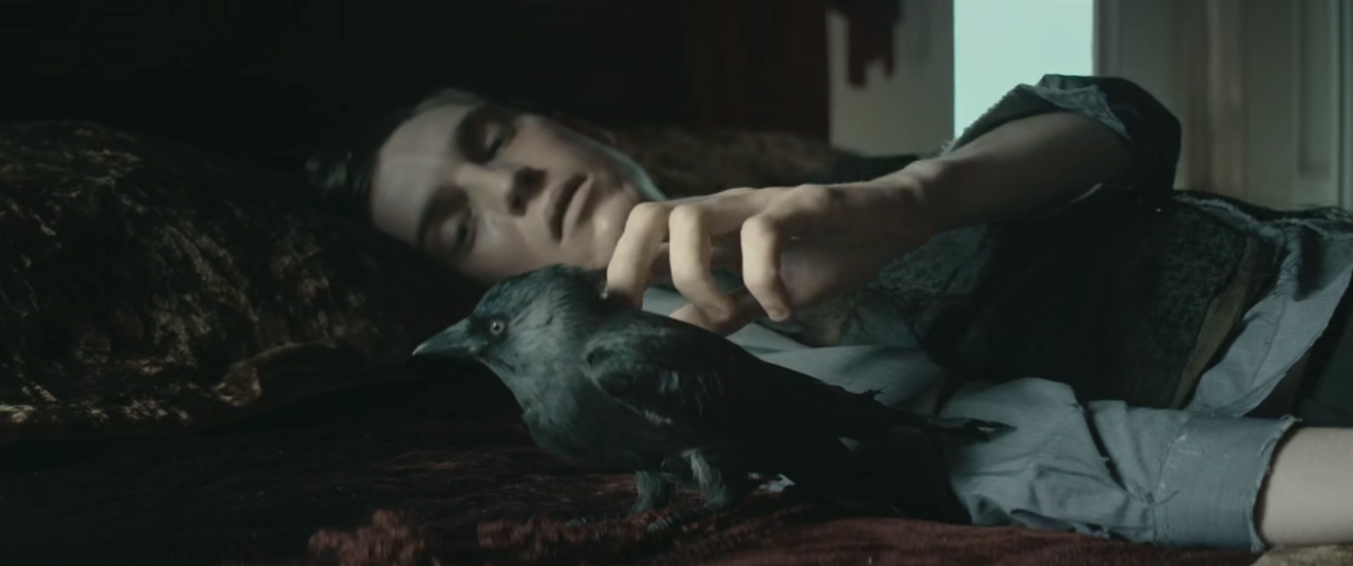 房客剧照的剧照