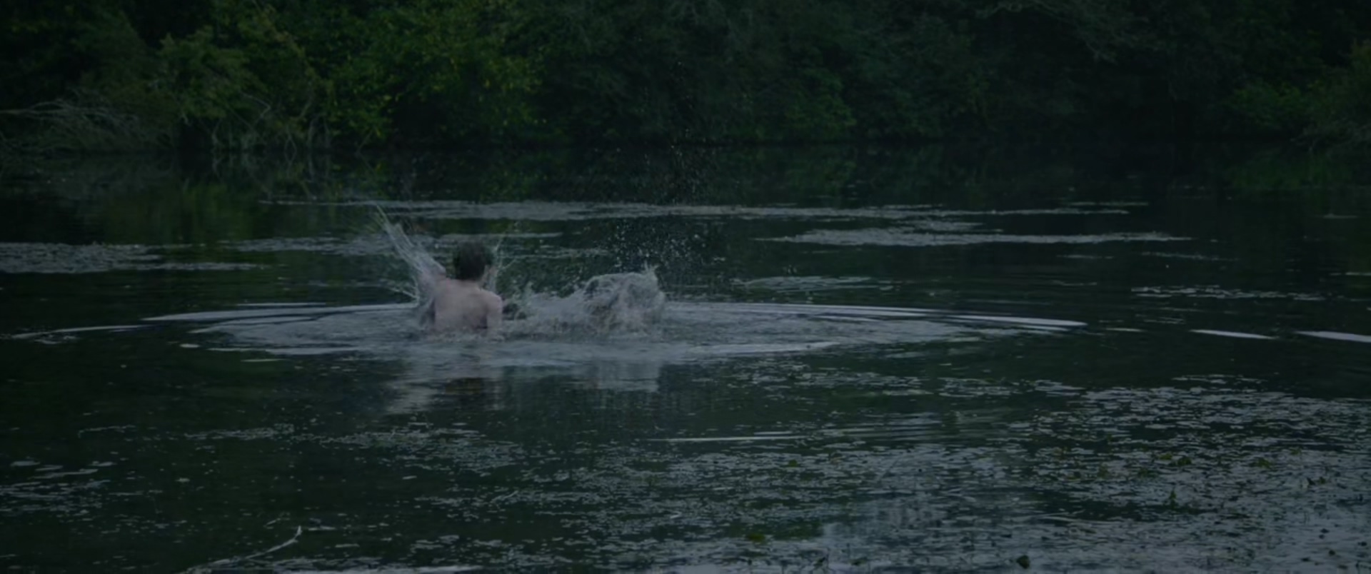 房客剧照的剧照