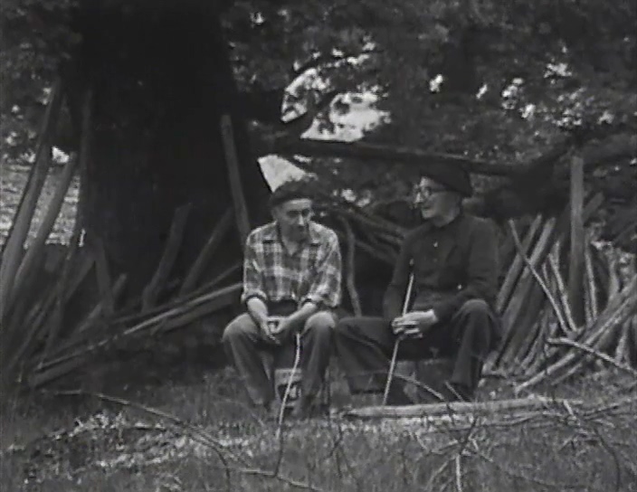 1982年，乌兹卡迪的夏天剧照的剧照