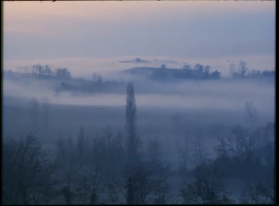 蓝色星球剧照的剧照