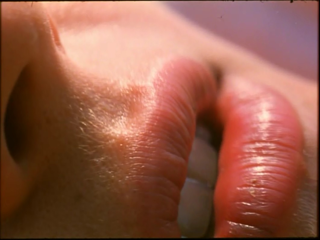 蓝色星球剧照的剧照