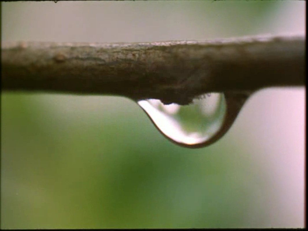 蓝色星球剧照的剧照