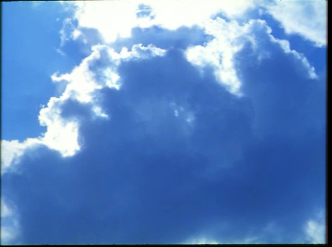 蓝色星球剧照的剧照