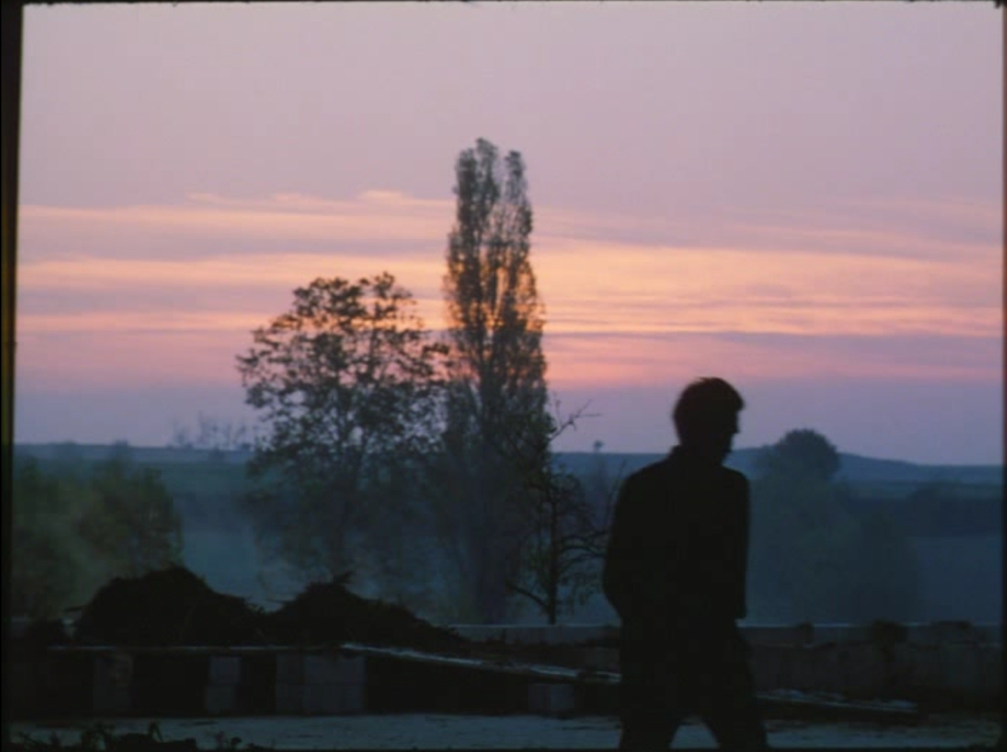 蓝色星球剧照的剧照