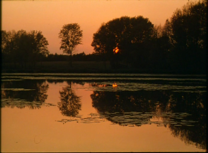 蓝色星球剧照的剧照