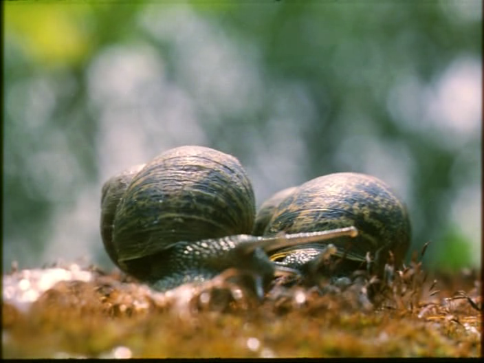蓝色星球剧照的剧照