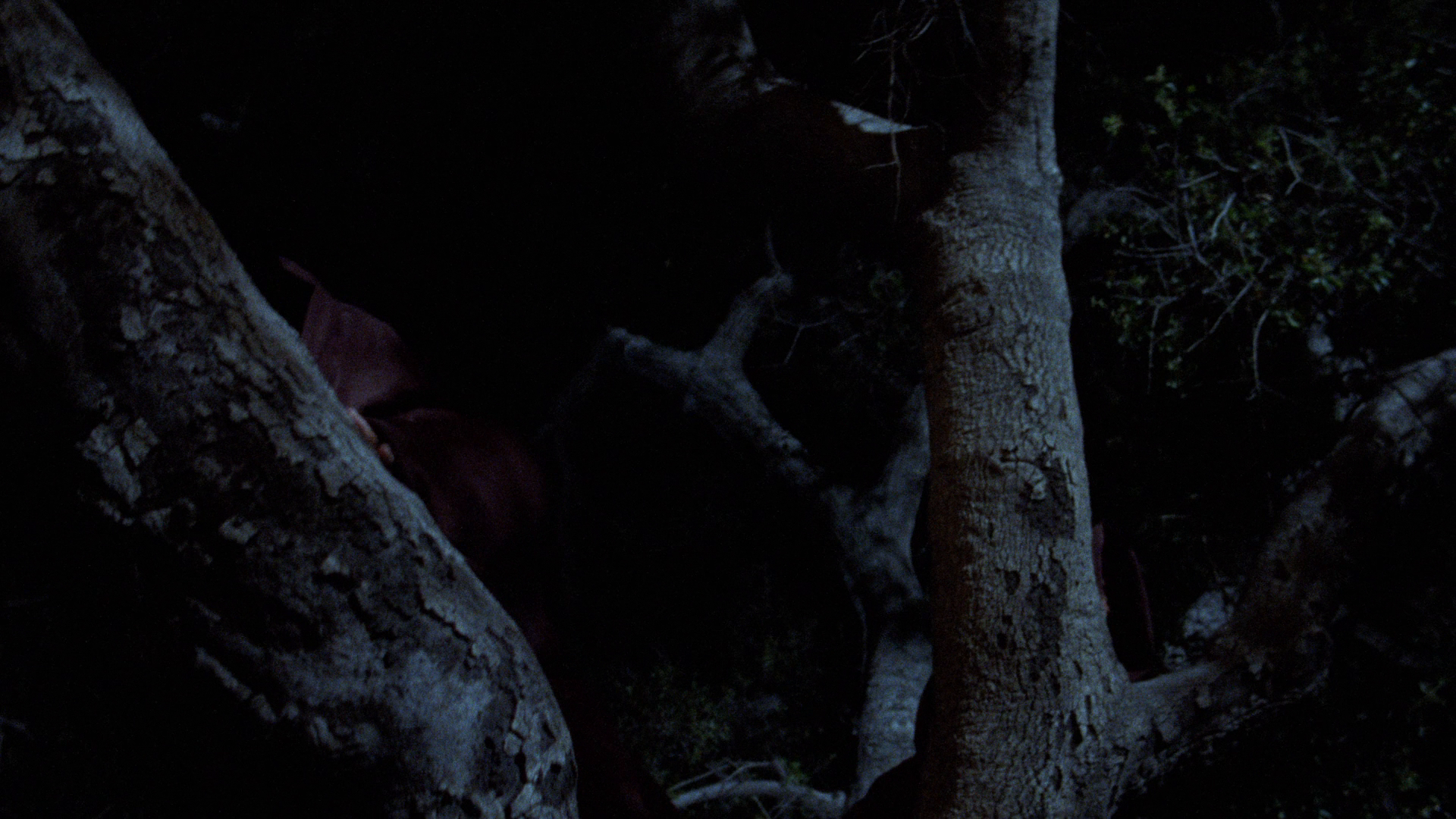 鬼追人3剧照的剧照