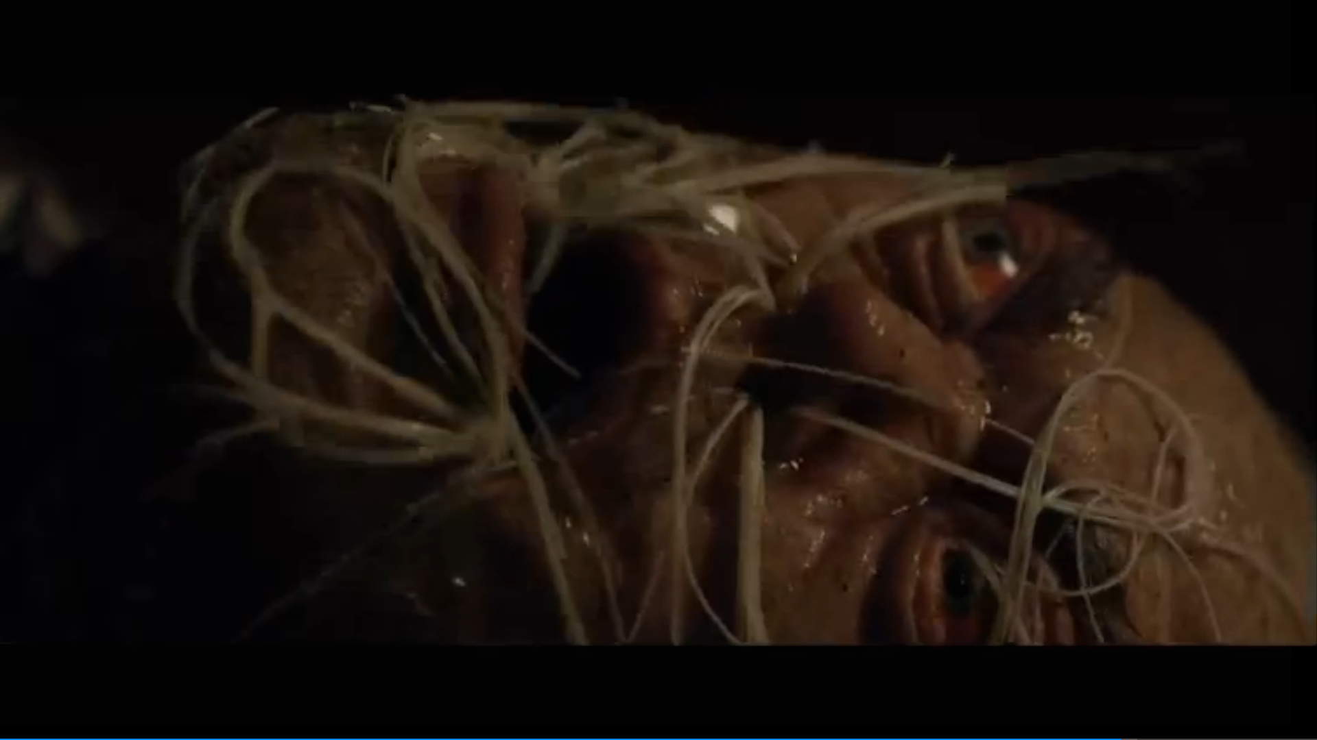 11号战壕剧照的剧照