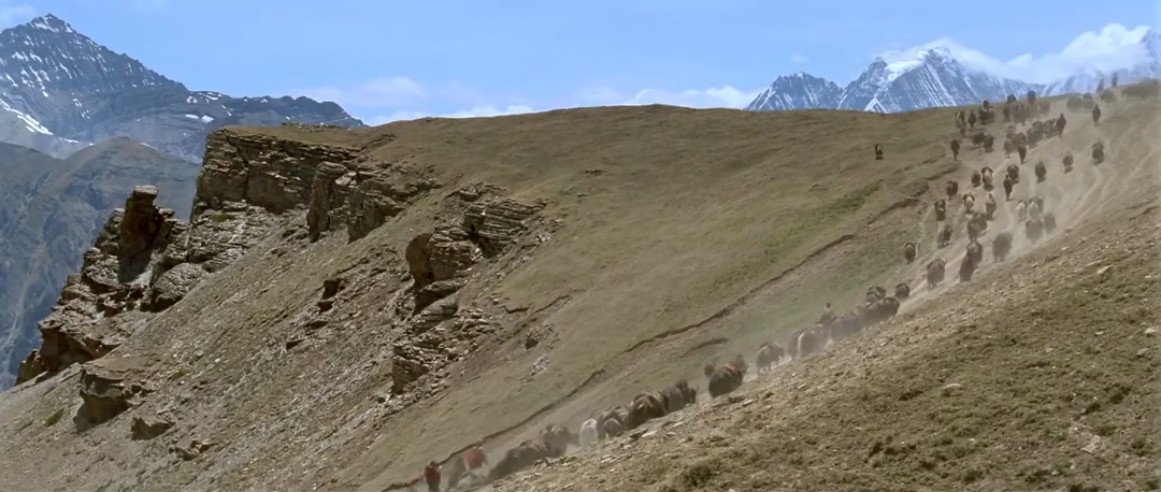 喜马拉雅剧照的剧照