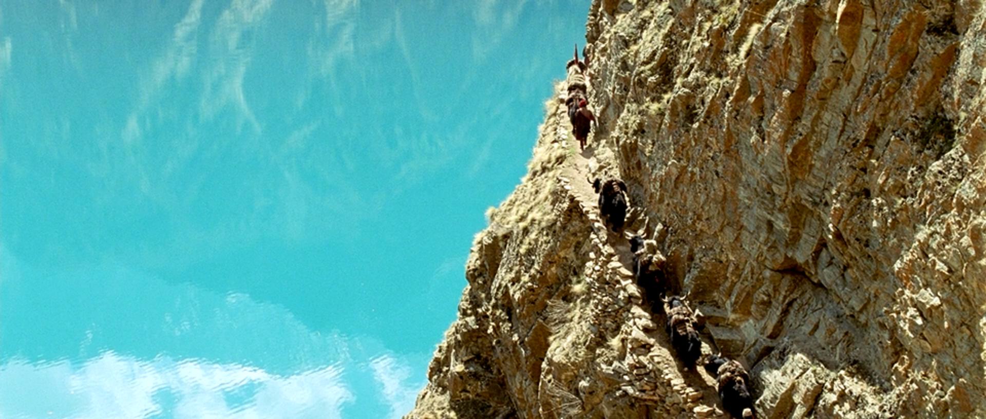 喜马拉雅剧照的剧照