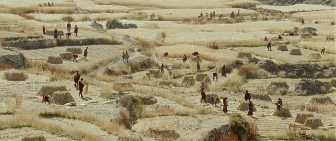 喜马拉雅剧照的剧照