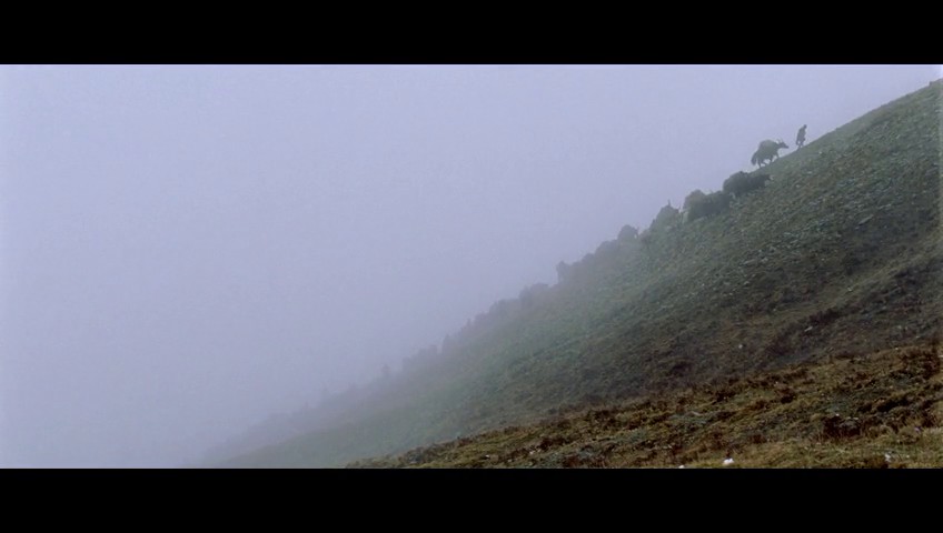 喜马拉雅剧照的剧照